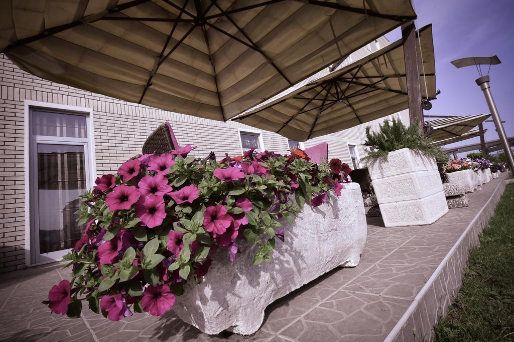 City Hotel Podgoriţa Exterior foto